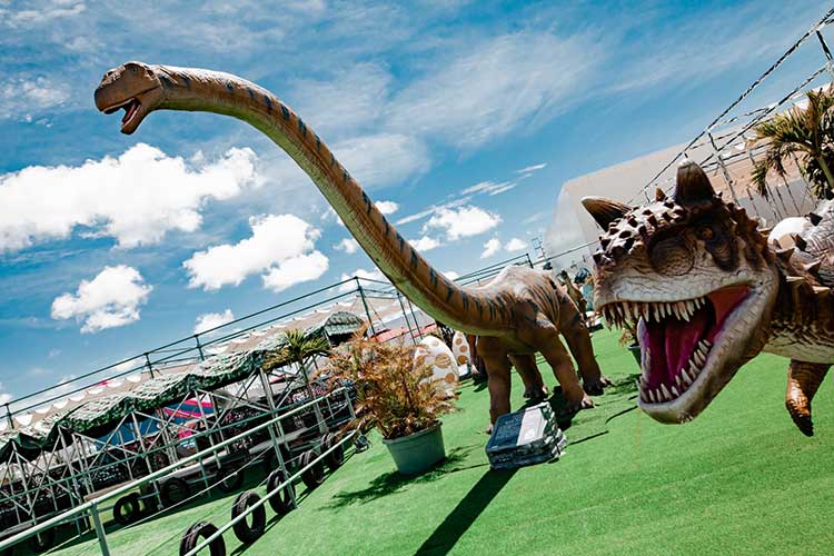 恐竜と遊ぼう｜STEM RESORTステムリゾート沖縄