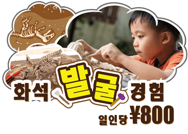 화석발굴경험 | STEM RESORT okinawa